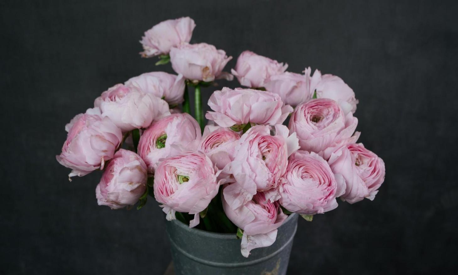 Professional flower arrangement workspace with climate control systems and organized flower storage areas